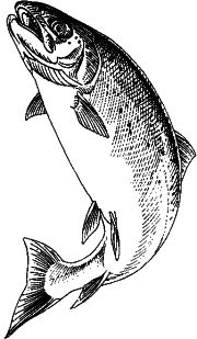 Clipart fish
